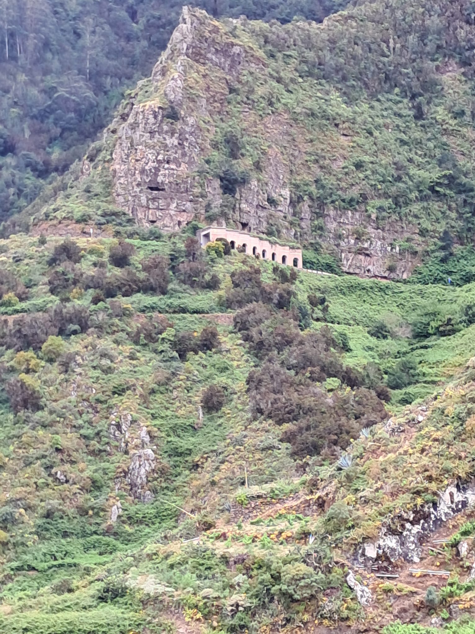 Laderas verdes y paisaje rural de Anaga