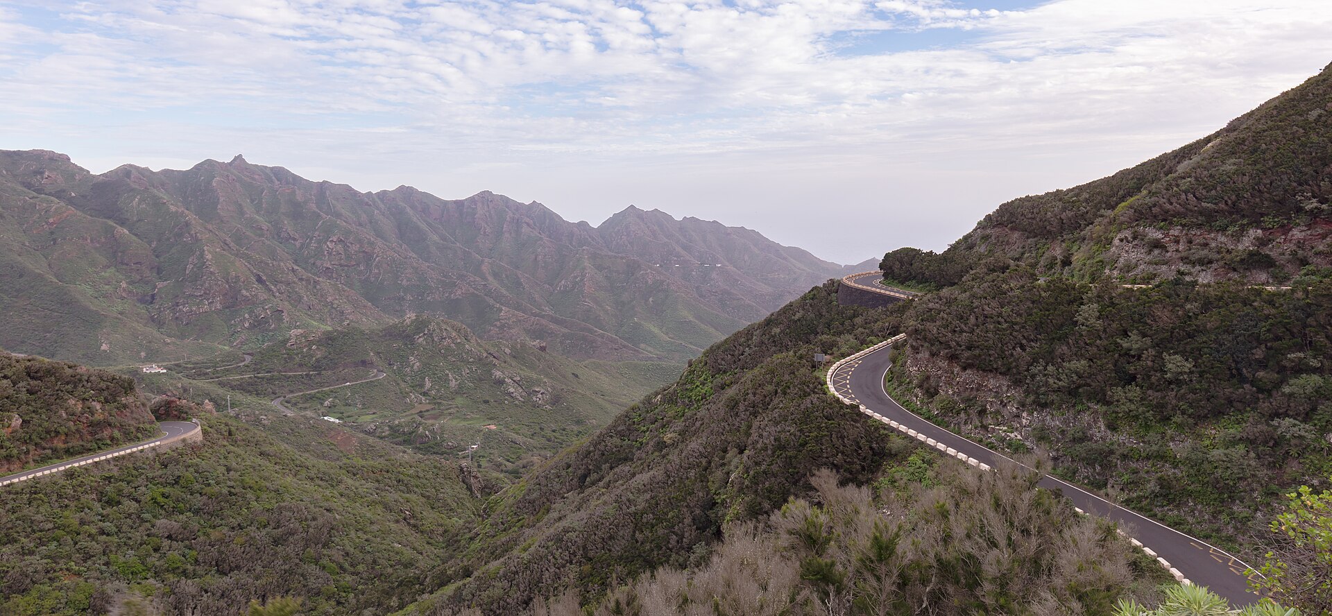 Carretera serpenteante entre las montañas verdes del macizo de Anaga