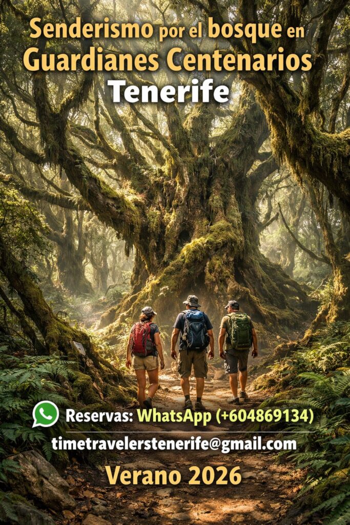 Ruta de senderismo entre naturaleza