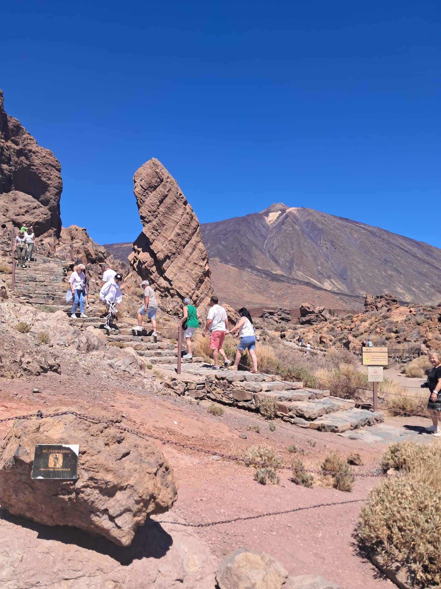 Sendero y Roque Cinchado en el Parque Nacional del Teide